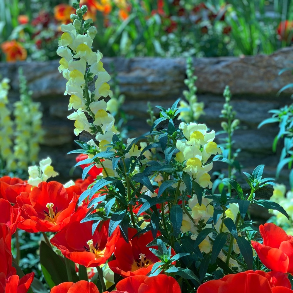 Meet your Posher, Cara